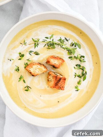 A bowl filled with vegan potato leek soup