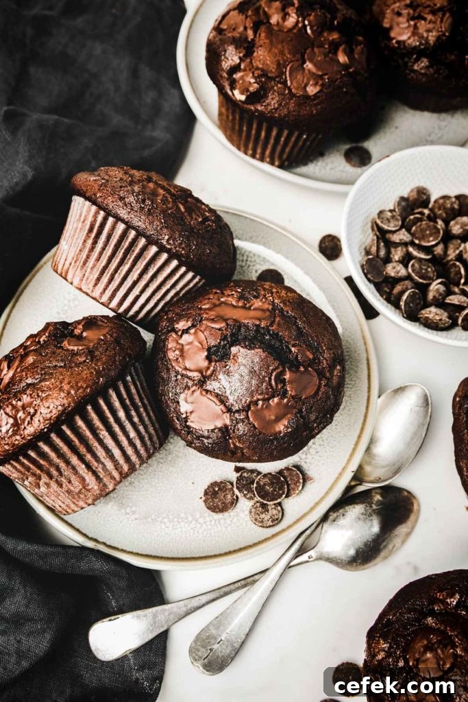 Muffins chocolat