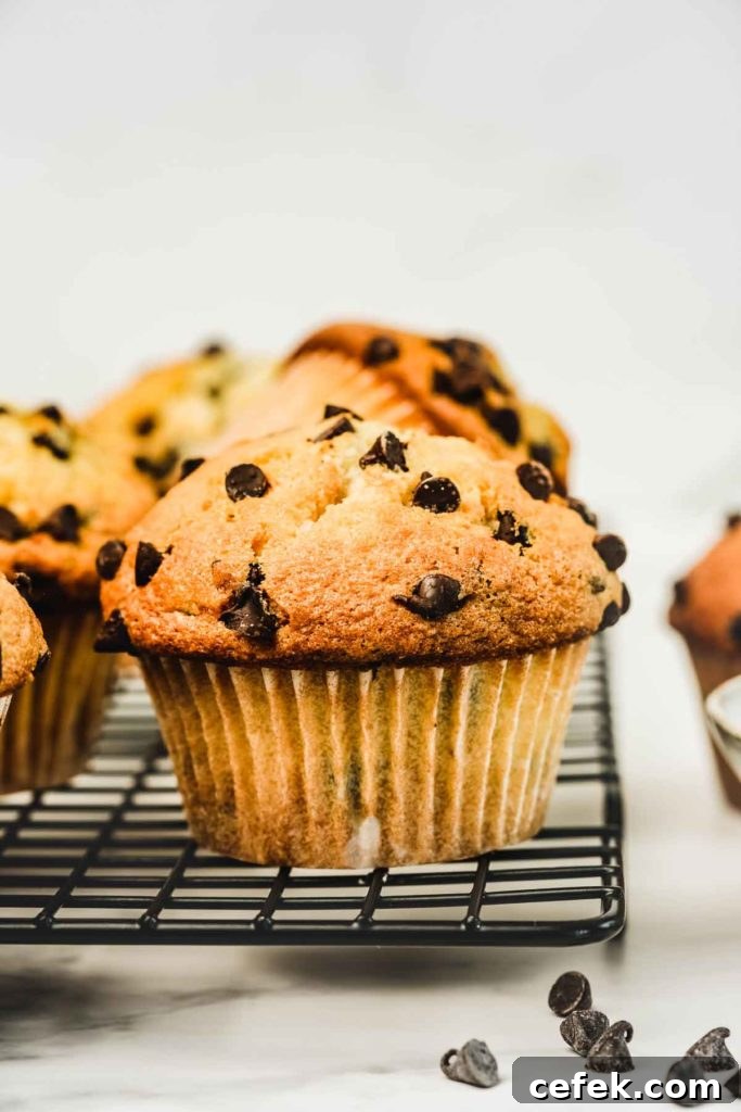 Muffins pépites