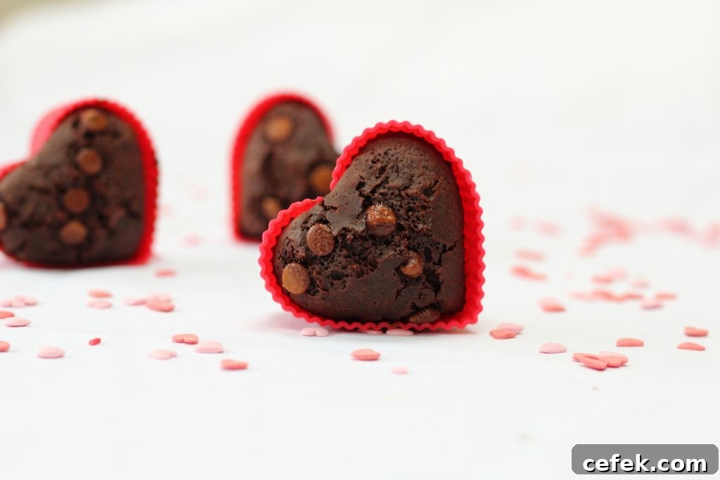 egg-free chocolate muffins 