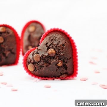 egg-free chocolate muffins