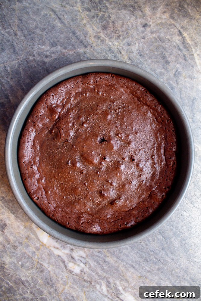 flourless chocolate torte