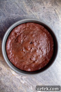 flourless chocolate torte