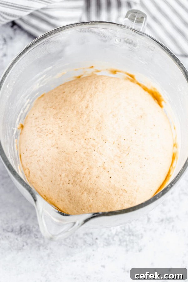 ball of chai dough in a bowl