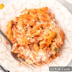 close-up of a serving of beefy sour cream noodle bake on a plate with a fork