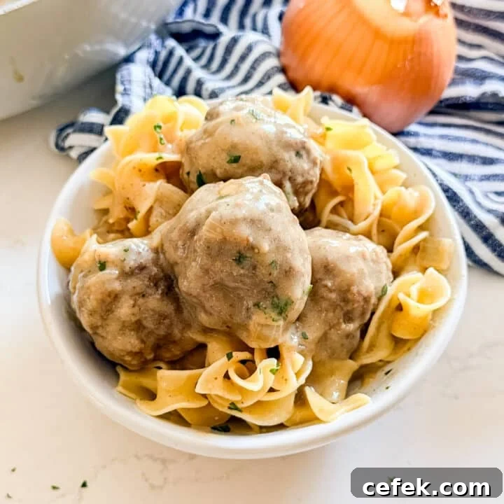 A bowl of Swedish meatballs and noodles.