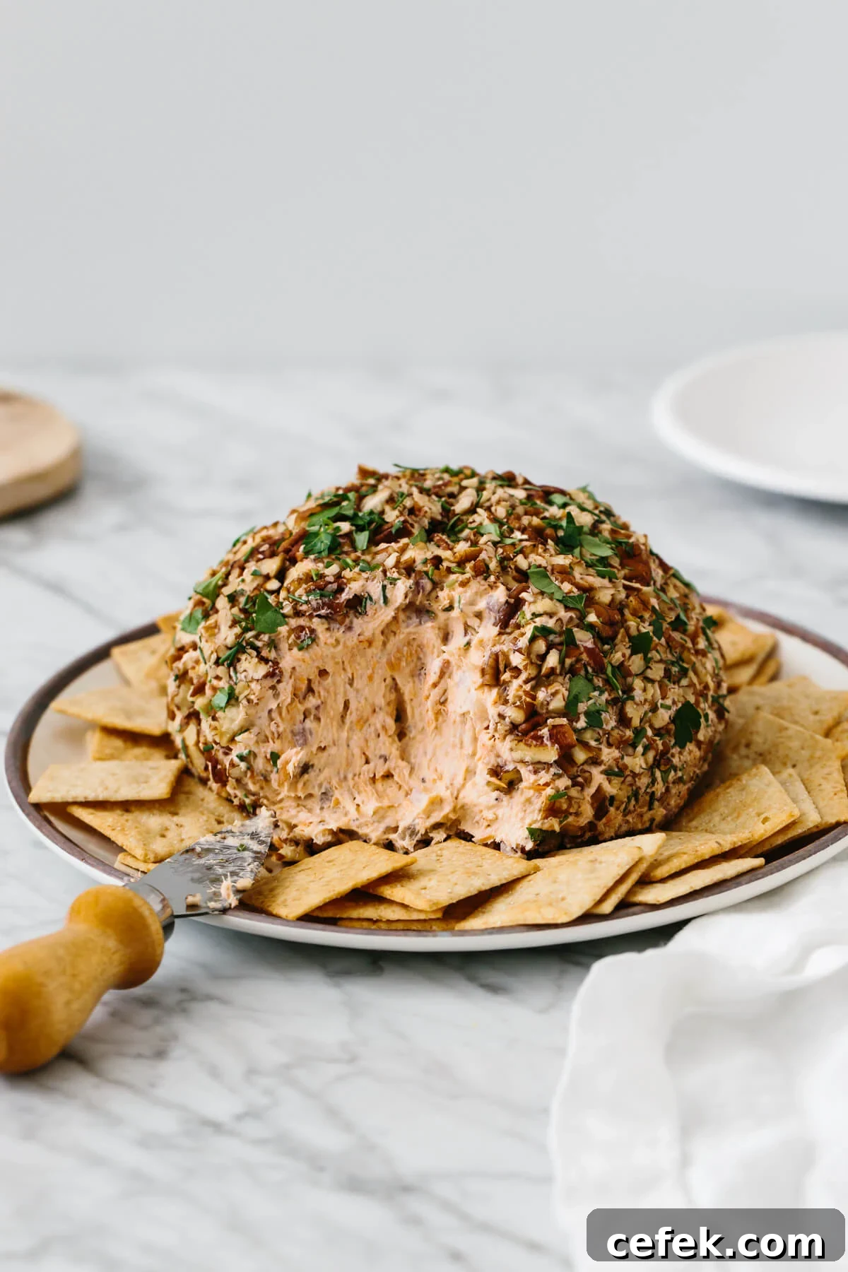 Salmon cheese ball on a plate surrounded by crackers.