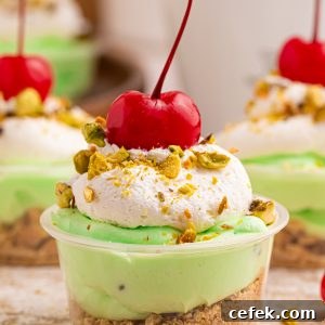These creamy Pistachio Pudding Shots are the cutest party dessert! Made with pistachio pudding mix, RumChata, Cool Whip, and graham cracker topping. Perfect for holiday parties, girls’ night, St. Patrick’s Day treats, and easy no-bake desserts. Save this RumChata pudding shot recipe!