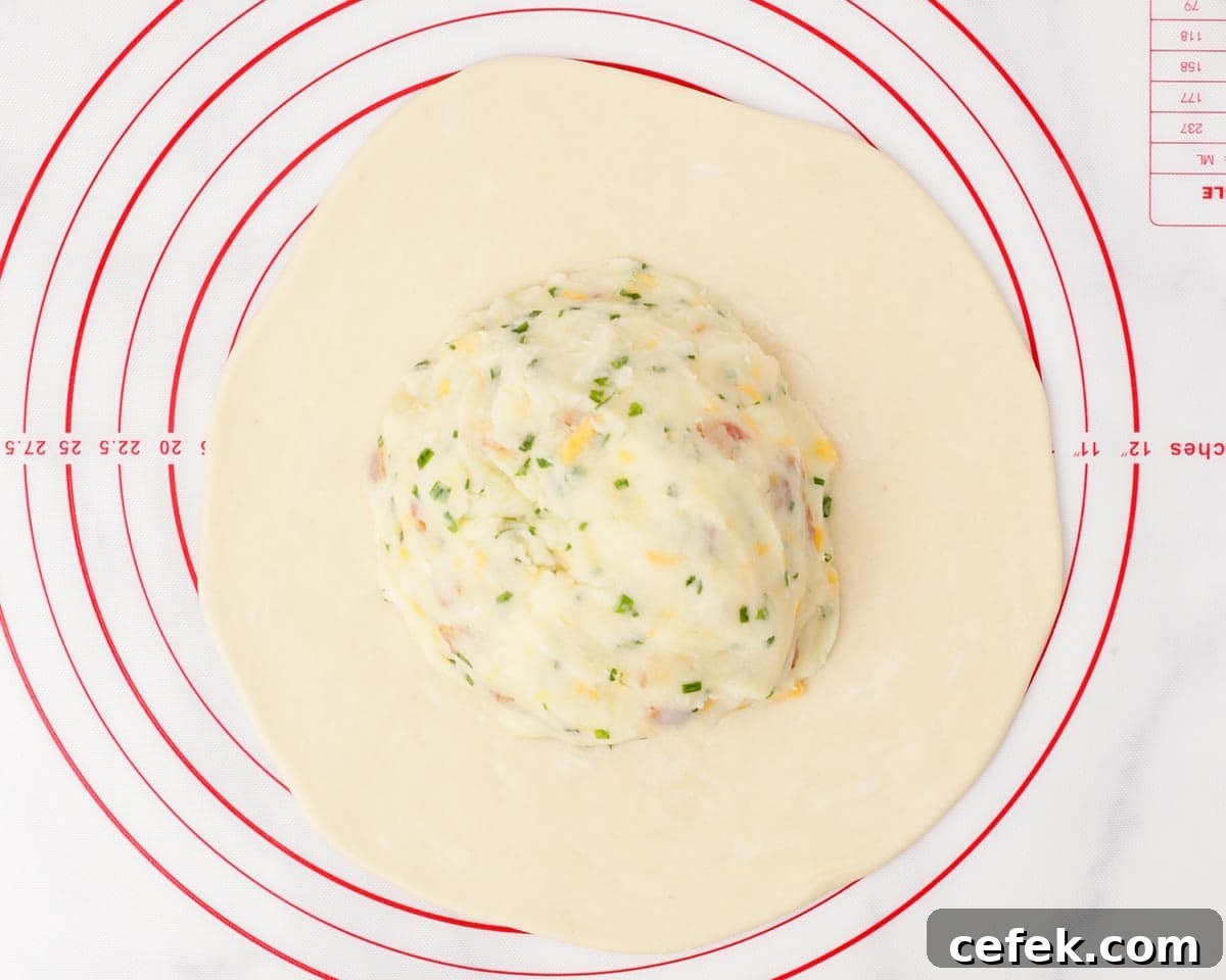 Placing loaded potato filling on the rolled out dough.