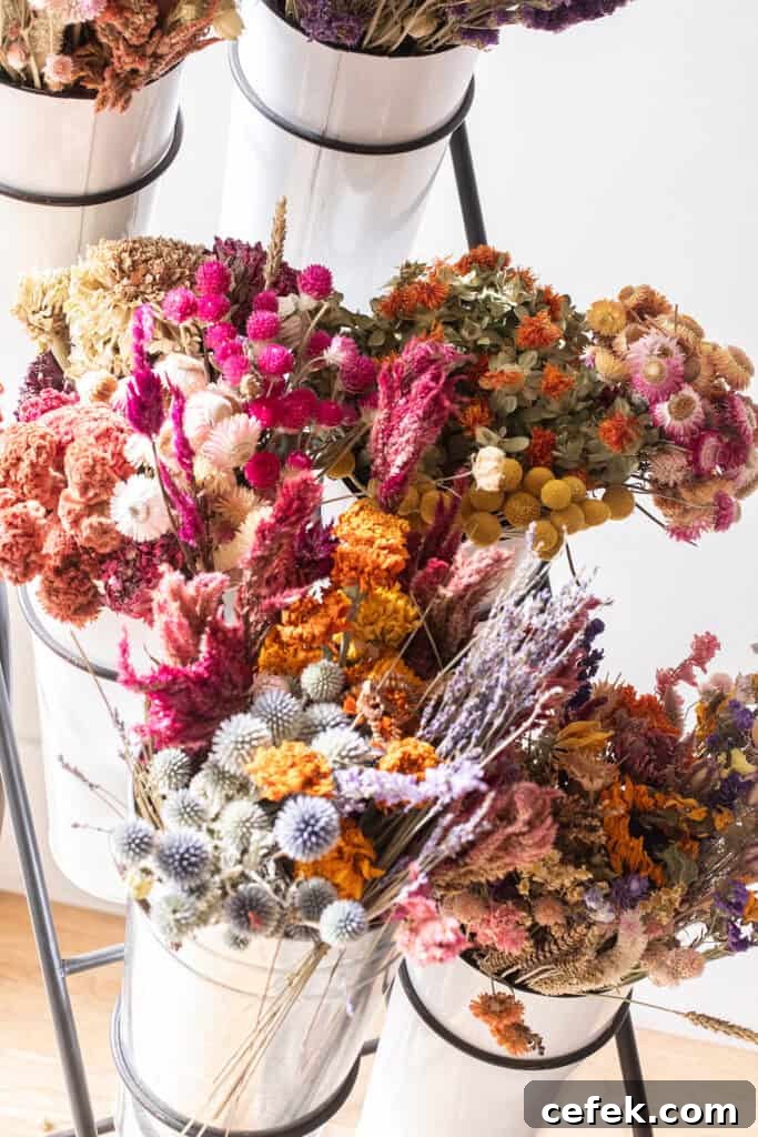 Dried flowers in vases.