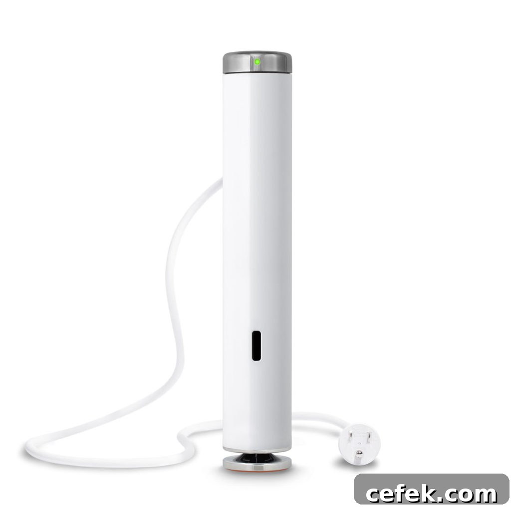 Breville Joule immersion circulator