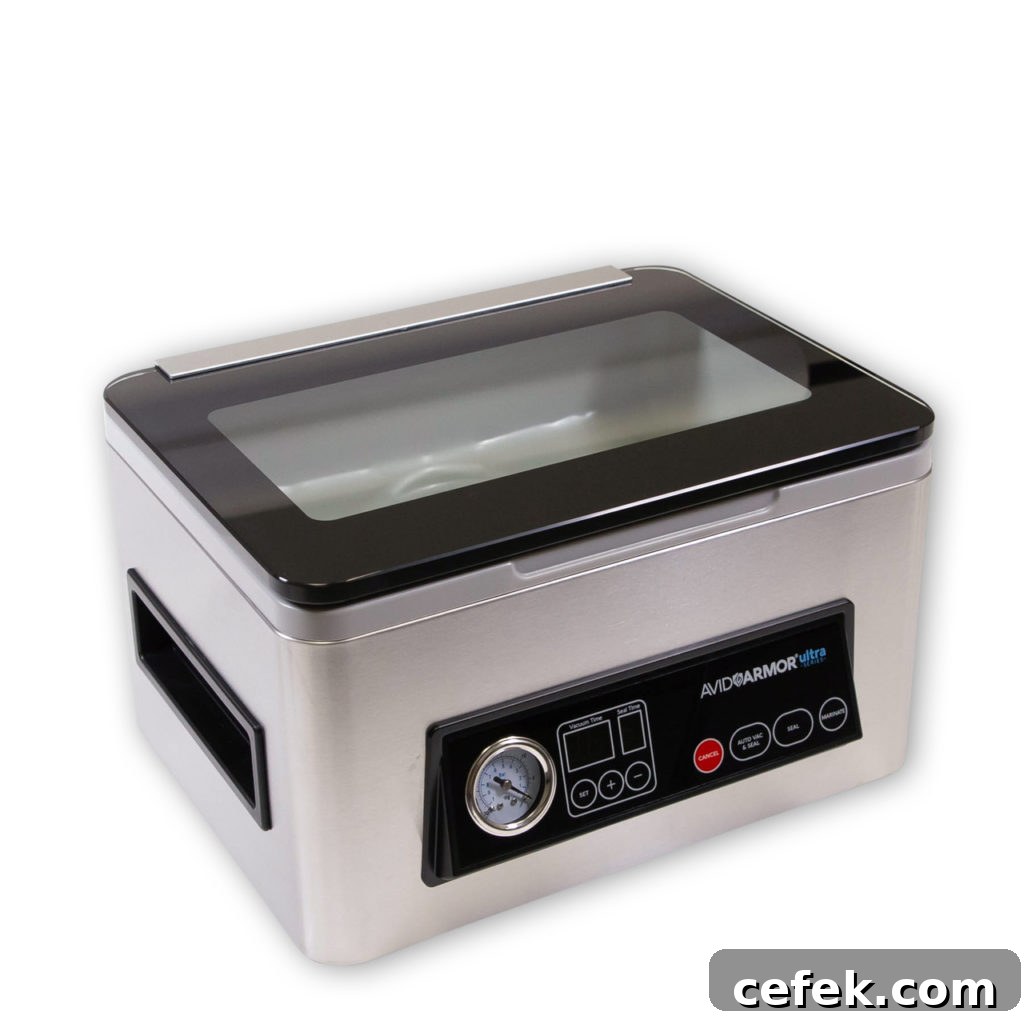 Chamber vacuum sealer