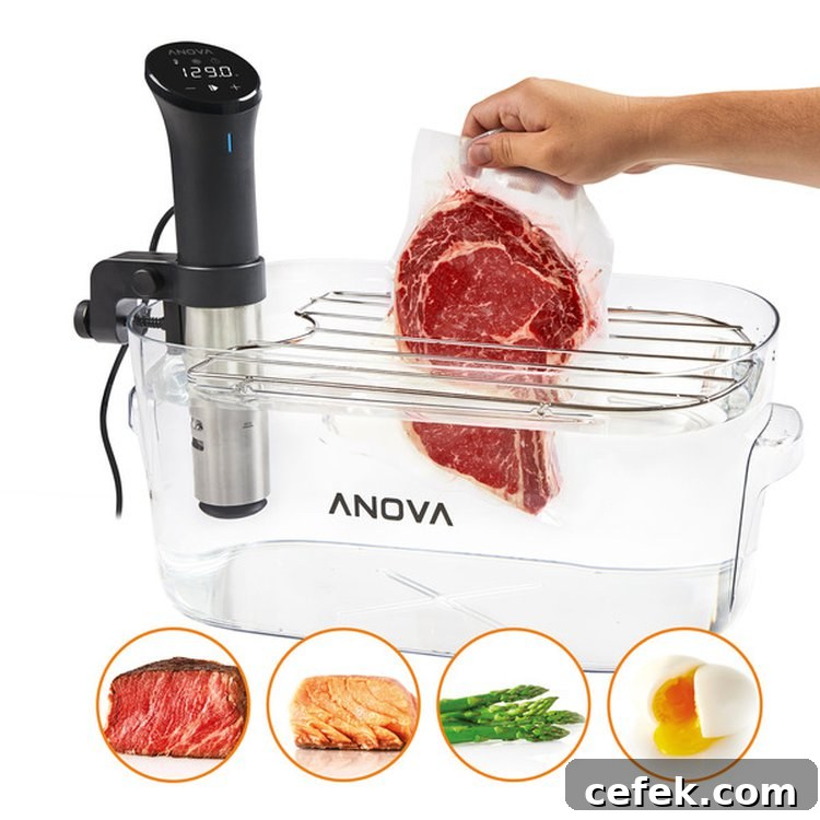 Anova immersion circulator and container bundle