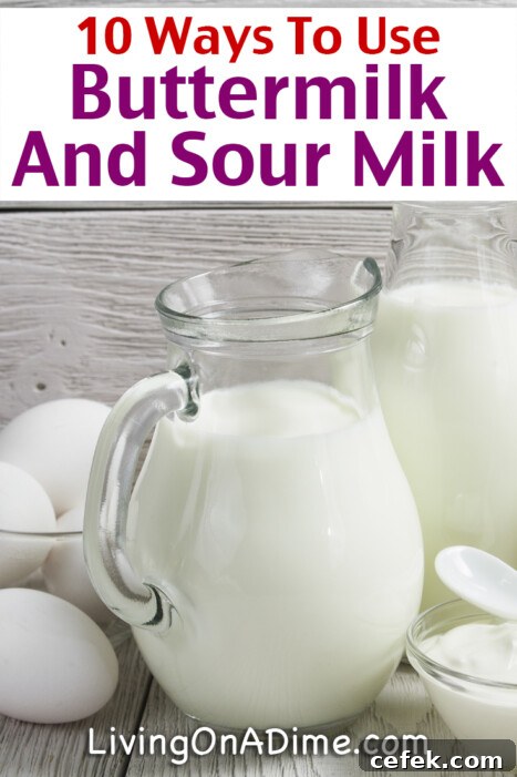 Buttermilk and sour milk are versatile ingredients that add flavor and richness to a variety of dishes! In this guide, you’ll find 10 easy and creative ways to use buttermilk and sour milk in your cooking and baking.