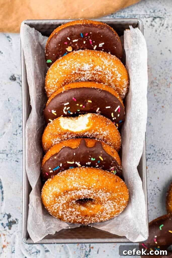 Gluten Free Donuts (Fried, Bakery Style) in a tray with chocolate frosting and sugared outsides
