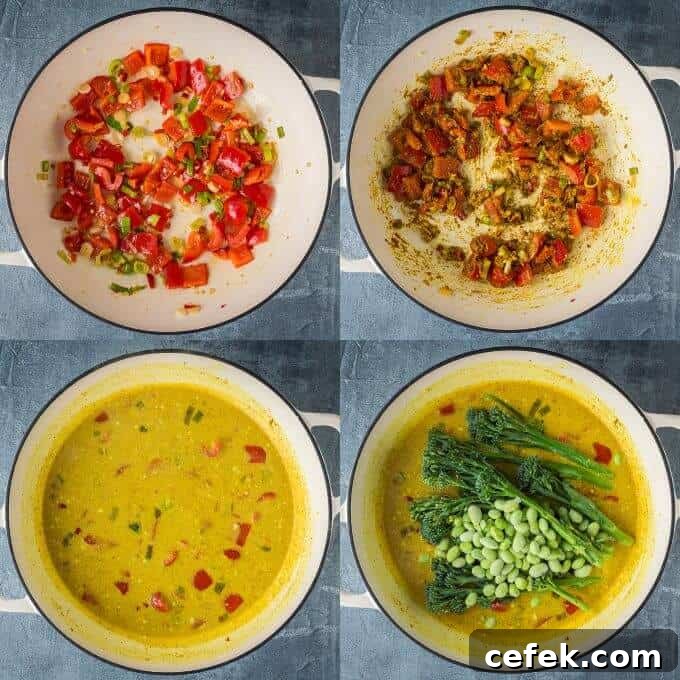 step by step photos of making the curry.