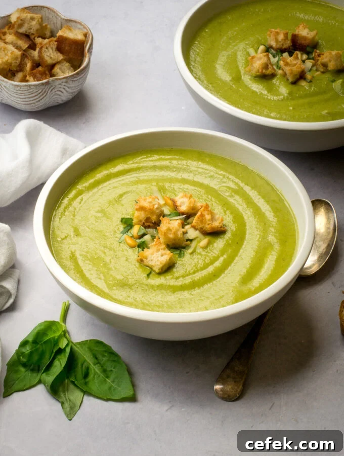 Courgette Soup