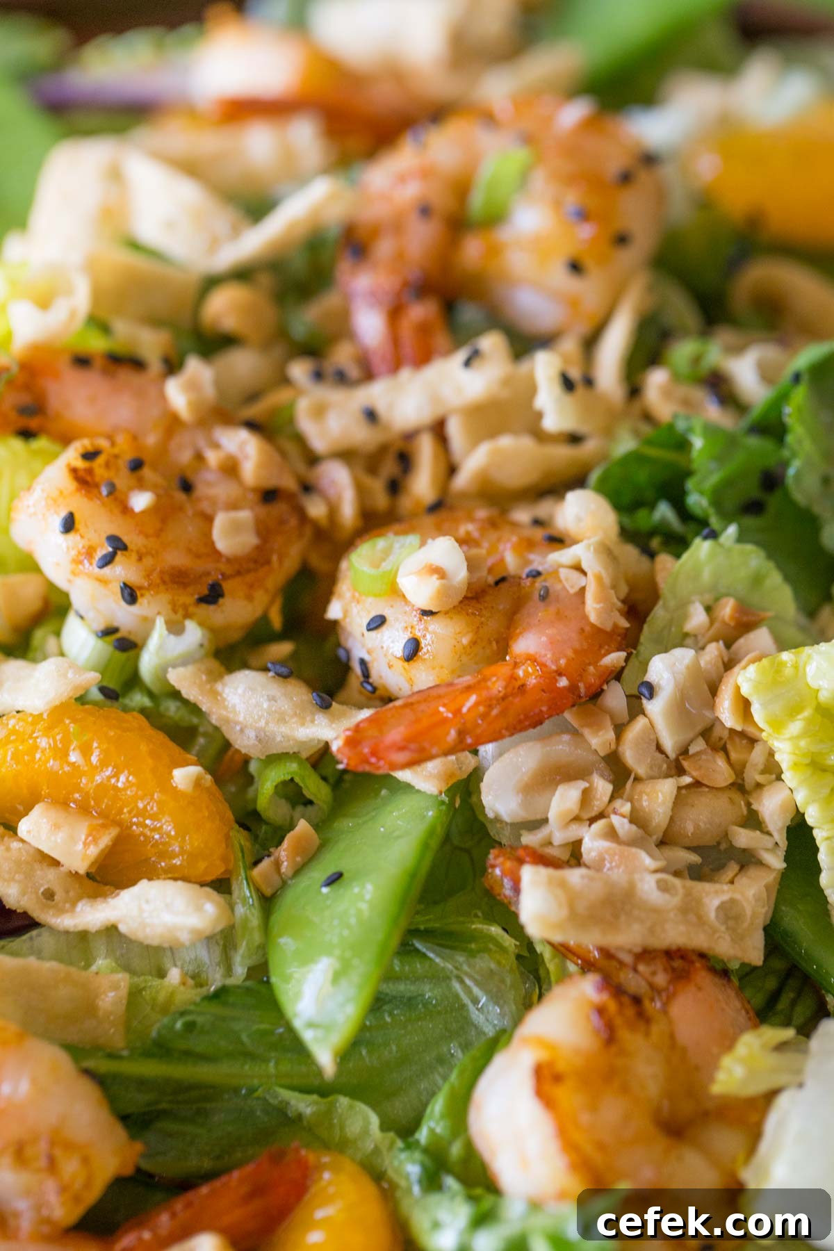 Close up of the Shrimp Salad. 