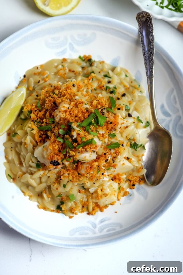 Lobster Orzo