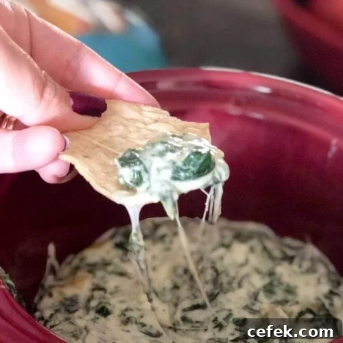 Slow-Cooker Spinach and Artichoke Dip Recipe for Parties 4 img 108 3