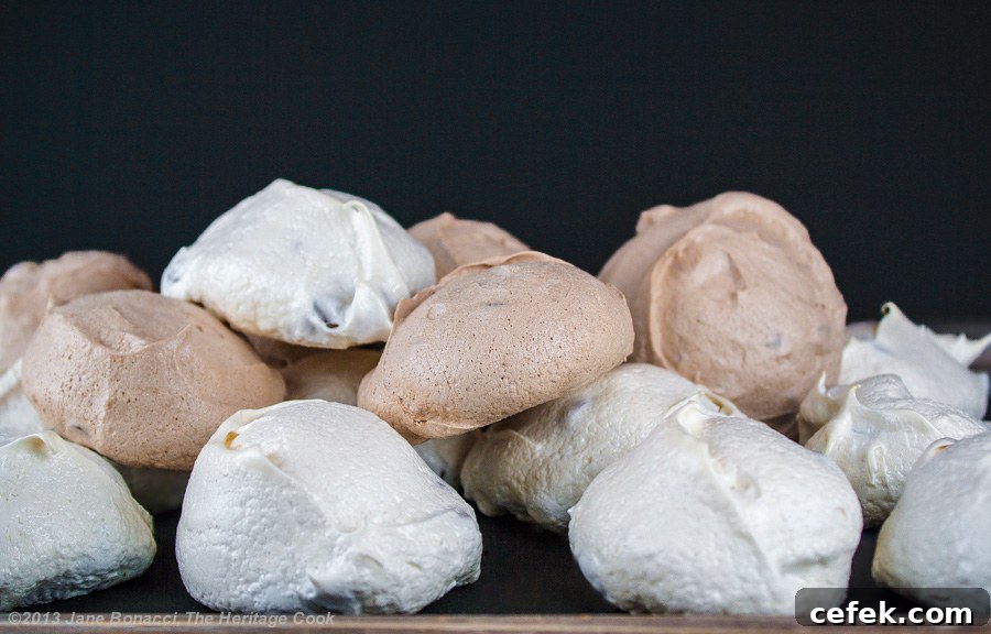 Chocolate Chip Meringue Cookies - The Heritage Cook