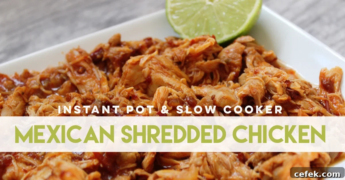 Instant Pot Mexican shredded chicken Seasoned Mexican shredded chicken fresh from the Instant Pot