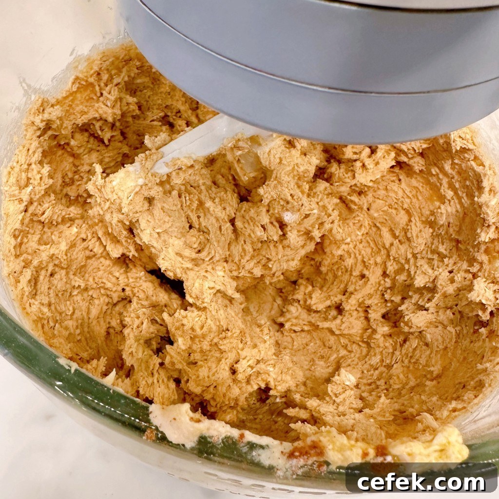 Cookie Dough mixed in the mixing bowl.