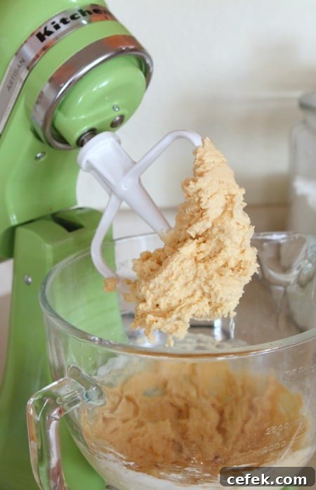 Chocolate Mint Snickerdoodle Cookies: Soft, Chewy & Minty 4 snickerdoodle cookie dough in stand mixer