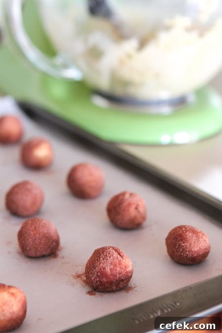 Chocolate Mint Snickerdoodle Cookies: Soft, Chewy & Minty 6 snickerdoodle cookie dough balls on baking sheet