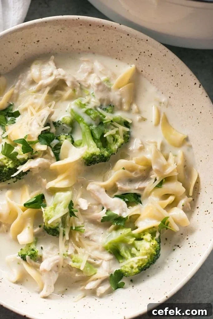 Cheesy Creamy Chicken Alfredo Soup