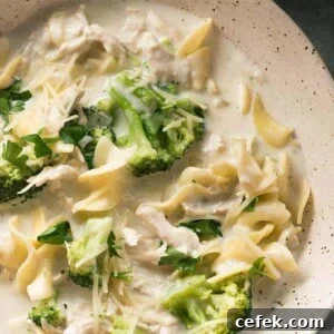 Cheesy Creamy Chicken Alfredo Soup
