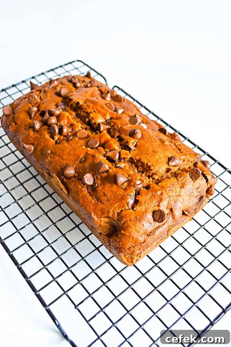 Moist Chocolate Chip Pumpkin Bread 2 pumpkin chocolate chip bread cooling on wire rack