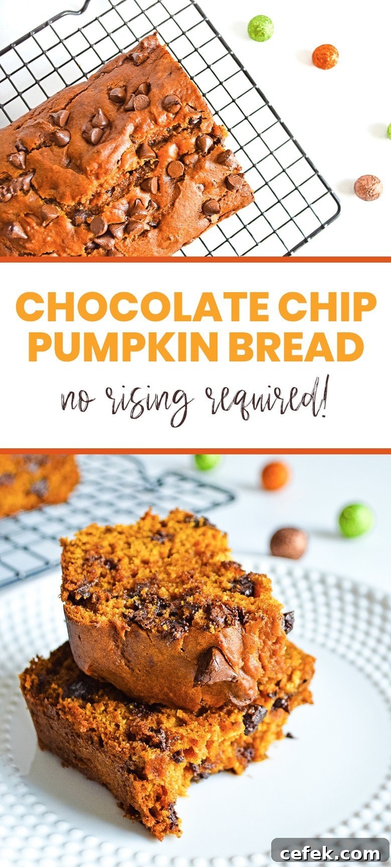 Moist Chocolate Chip Pumpkin Bread 10 pumpkin chocolate chip bread pinterest image