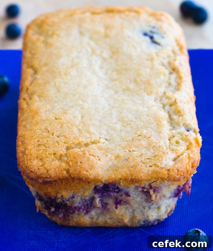 Blueberry Lemon Loaf Recipe