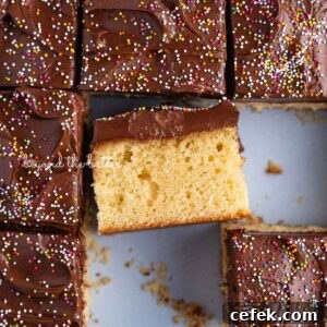 Classic Four-Egg Yellow Sheet Cake with Chocolate Frosting 16 Slices of four egg yellow sheet cake with chocolate frosting and rainbow nonpareils in a blue baking pan with center slice placed on its side to see the moist cake and thick layer of frosting.