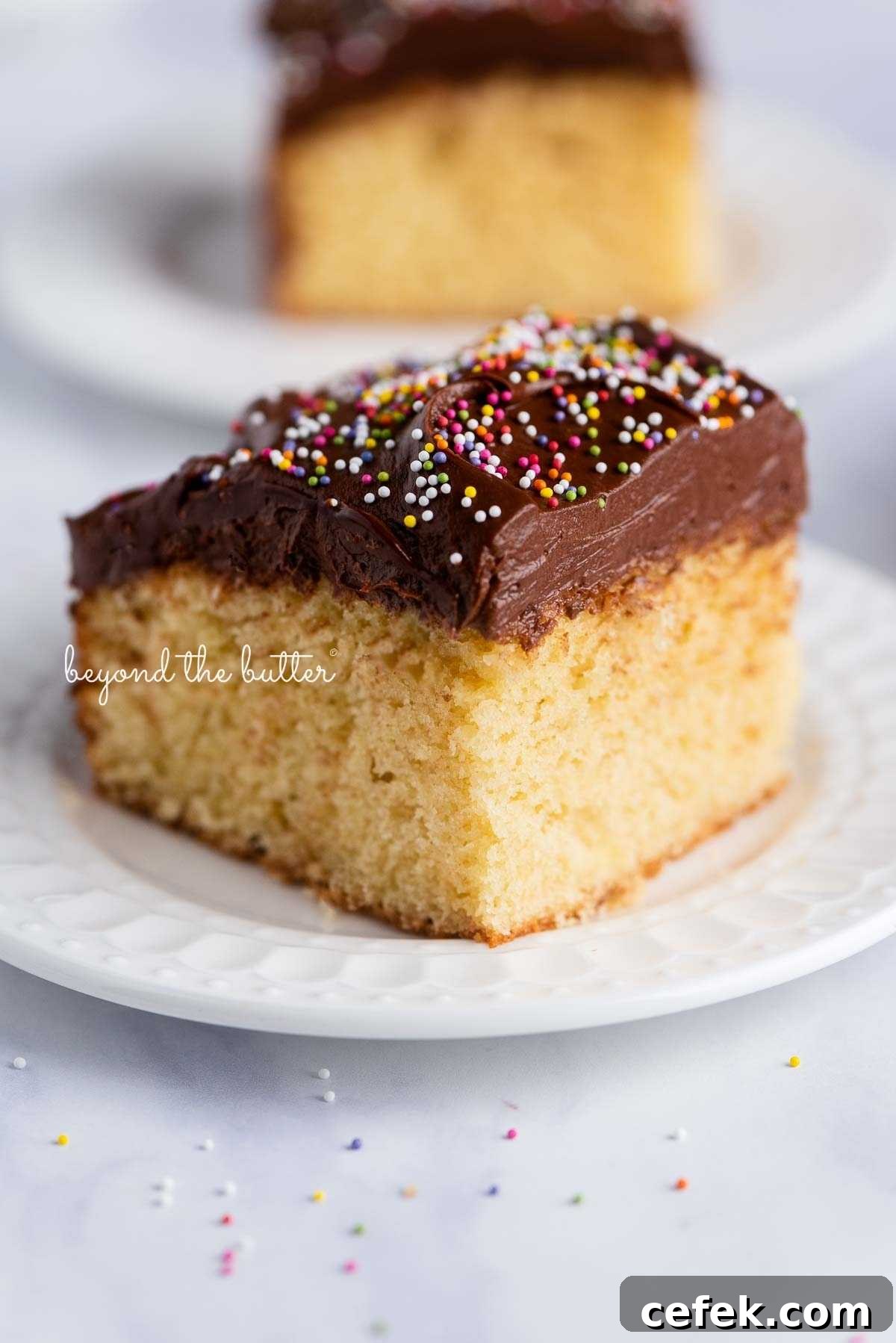 Classic Four-Egg Yellow Sheet Cake with Chocolate Frosting 6 Slices of yellow sheet cake with chocolate frosting and rainbow colored nonpareils on white ceramic dessert plates.