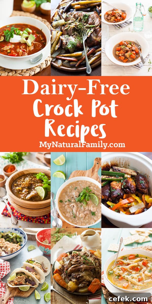 Dairy-Free Slow Cooker Recipe Collection 2 Dairy-Free Crock Pot Recipes