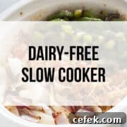 dairy free crockpot recipes
