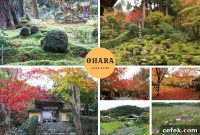 Ohara, Japan: Complete Travel Guide to Sights, Food & Culture