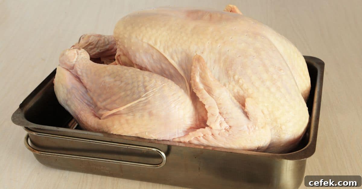 How to Roast a Juicy Turkey: Complete Guide 4 Raw Thanksgiving turkey in a roasting pan.