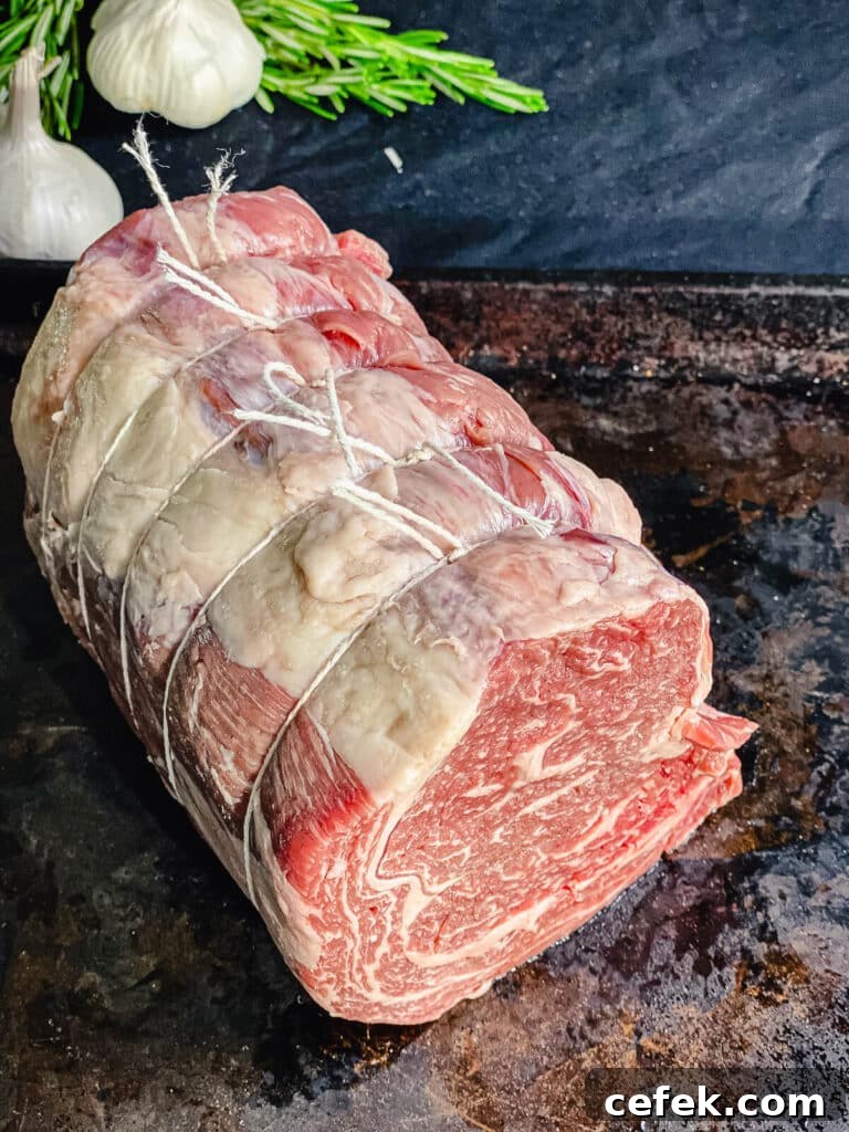 Rotisserie Prime Rib: How to Cook a Tender, Juicy Roast 11 prime rib roast tied into a cylinder shape with butcher's twine