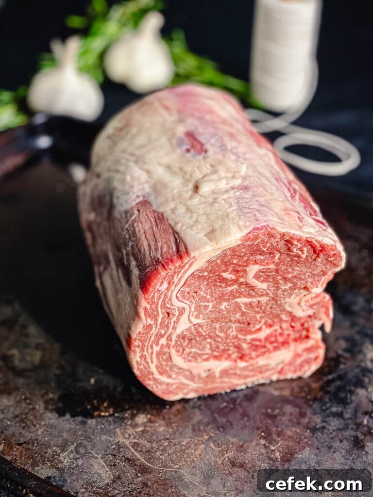 Rotisserie Prime Rib: How to Cook a Tender, Juicy Roast 10 boneless prime rib tied into a cylinder shape with butcher's twine
