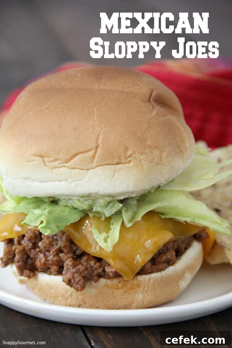 Mexican Sloppy Joes - easy homemade sandwich recipe Mexican Sloppy Joe on white plate with tortilla chips