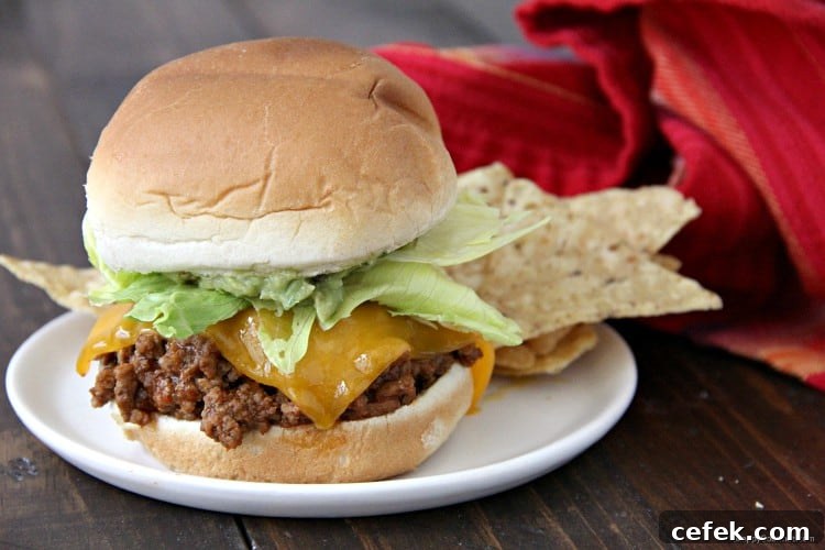 Mexican Sloppy Joes - simple Sloppy Joe recipe with Mexican twist. Mexican Sloppy Joe on white plate with tortilla chips