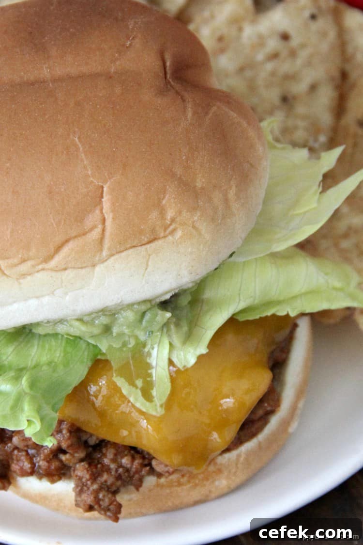 Mexican Sloppy Joes recipe Mexican Sloppy Joe on white plate with tortilla chips
