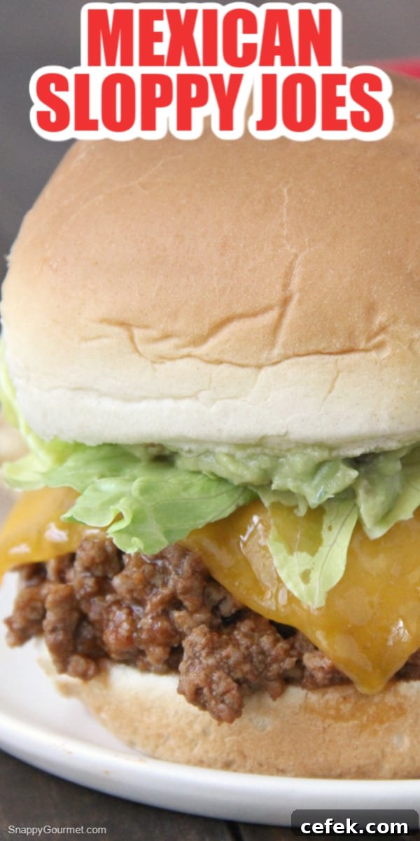 Mexican Sloppy Joes recipe Mexican Sloppy Joe on white plate with tortilla chips
