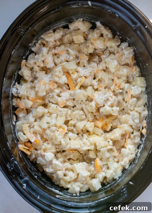 Creamy Cheddar Slow Cooker Potatoes 5 Slow cooker full of cheesy potatoes