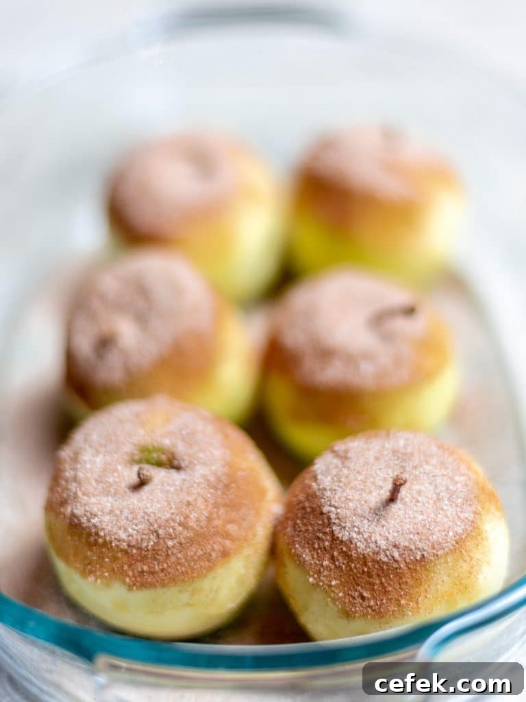 Oven-Baked Cinnamon Apples Recipe 7 6 apples covered with cinnamon sugar in a baking dish