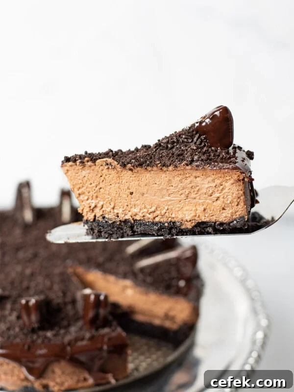 No-Bake 2-Ingredient Peanut Butter Cups 10 Oreo cheesecake image
