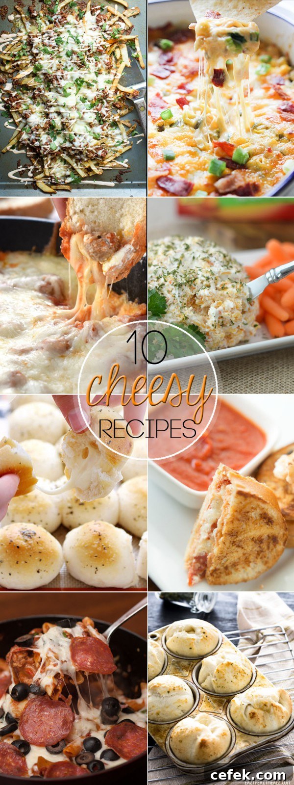 10 Must-Try Cheesy Recipes for Cheese Lovers 2 10 Cheesy Recipes